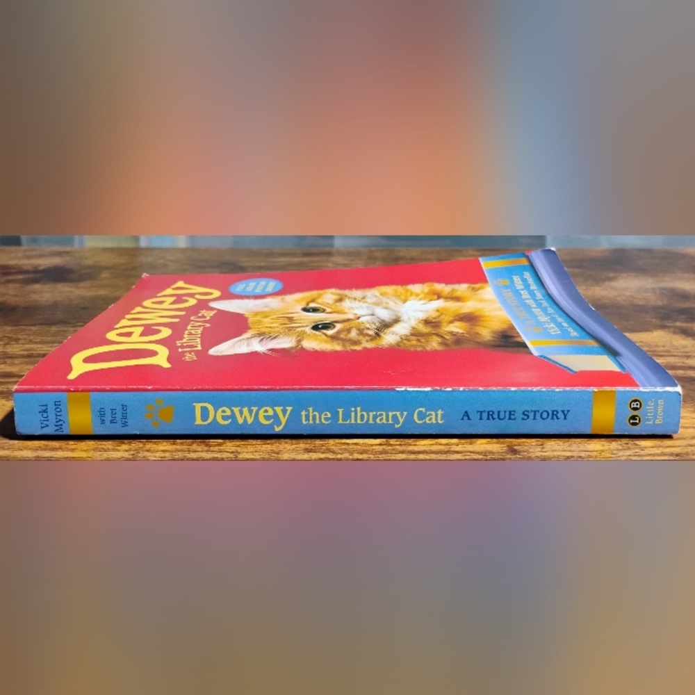 Dewey The Library Cat Book - Picture 3 of 6
